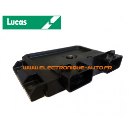 CALCULATEUR VIERGE PEUGEOT 206 306 1.9 D LUCAS DCN2 9639587680 9640900080 DWLC12 DW8